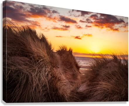 Sunset over Formby Beach through sand dunes  Impression sur toile