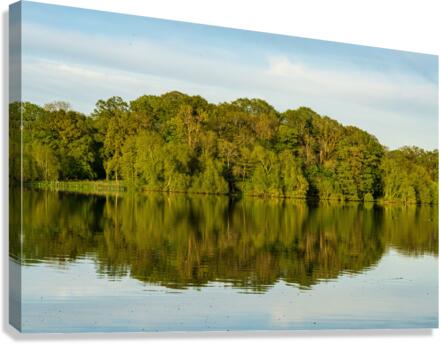 View across the Mere to a reflection of distant trees in Ellesme  Canvas Print