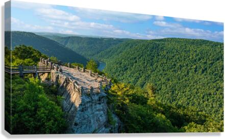 Aerial panorama of Cheat River Gorge  Impression sur toile