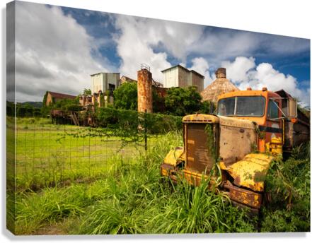 Abandoned truck by old sugar mill at Koloa Kauai  Impression sur toile