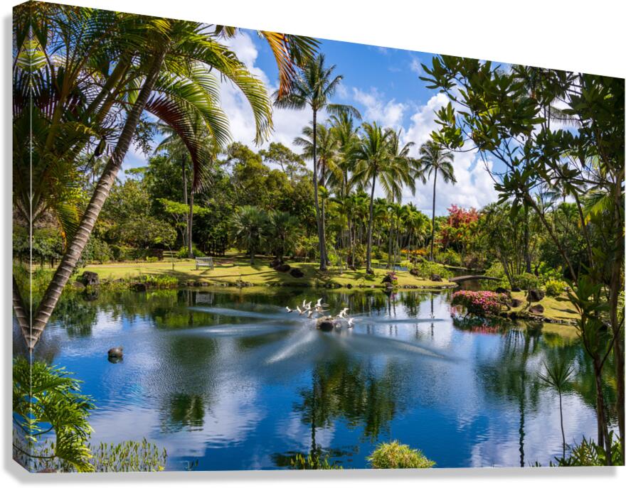 Gorgeous lagoon and lake in the Na Aina Kai sculpture garden  Impression sur toile