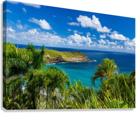 Mokolea point and Kahili beach framed by palm trees Kauai  Impression sur toile