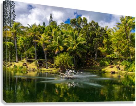 Gorgeous lagoon and lake in the Na Aina Kai sculpture garden