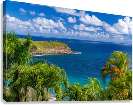 Mokolea point and Kahili beach framed by palm trees Kauai  Canvas Print