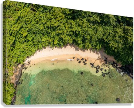 Aerial from above view of Sealodge beach in Princeville  Canvas Print