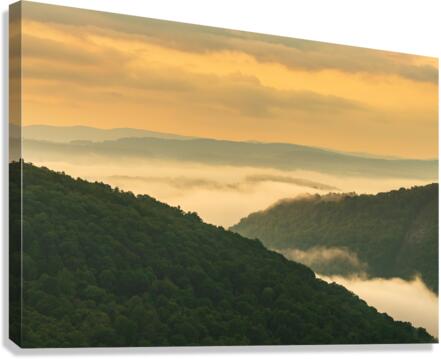 Mist swirling over Cheat River gorge at sunrise near Raven Rock  Canvas Print