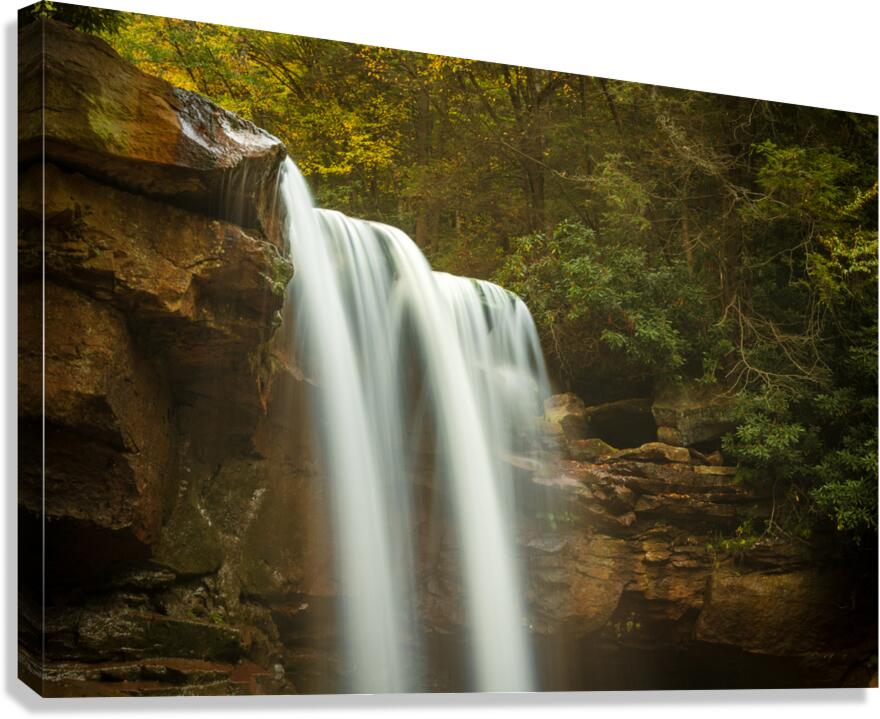 Douglas Falls near Blackwater Canyon trail near Thomas WV Canvas Print