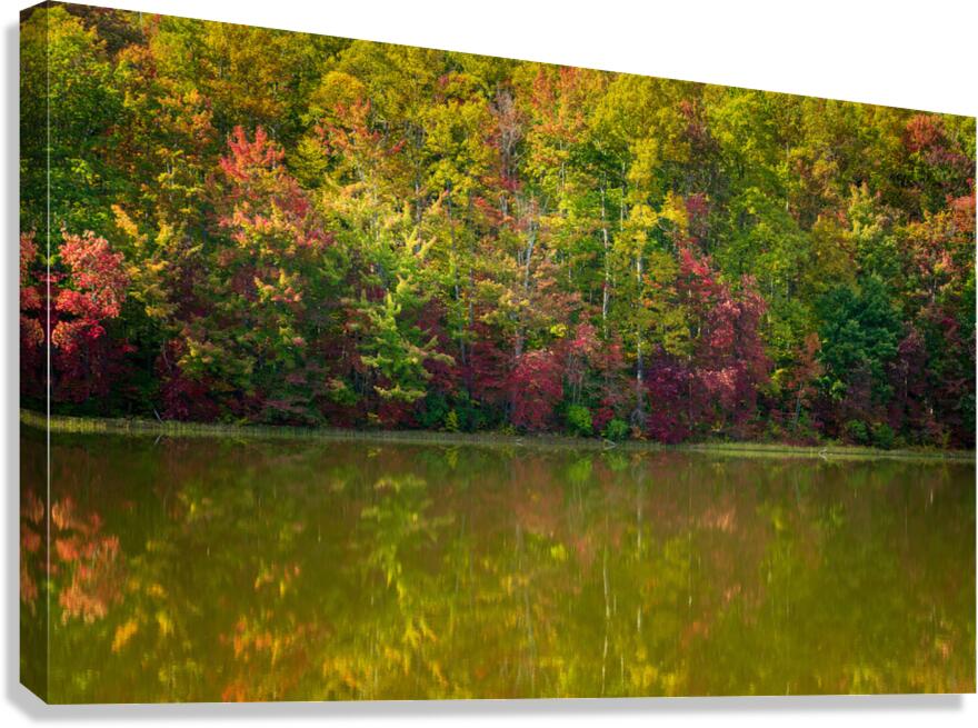 Fall leaves surround reservoir in Coopers Rock State Forest in W  Canvas Print