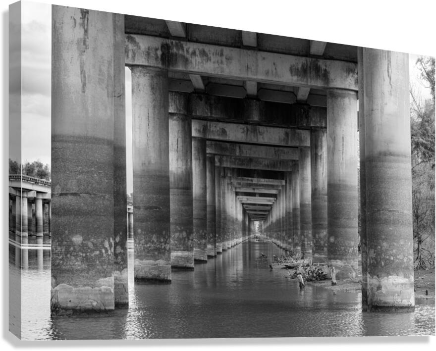 Supporting pillars of I-10 bridge above Atchafalaya basin in Lou  Canvas Print