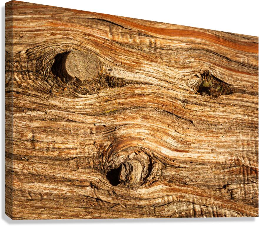 Background close up of cedar trunk bark  Canvas Print