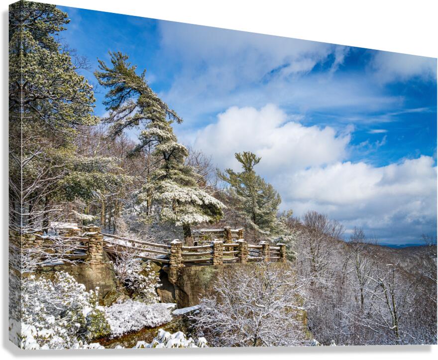 Coopers Rock overlook covered in winter snow near Morgantown  Canvas Print