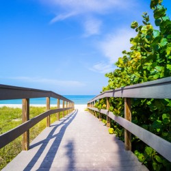 Boardwalk among sea oats to beach in Florida