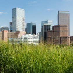 View of downtown buildings in Denver
