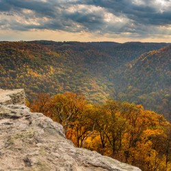 Raven Rock overlooks forest at Coopers Rock