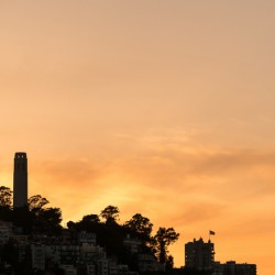 Coit tower at sunset in San Francisco