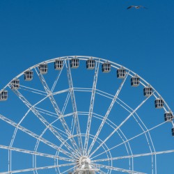 White ferris wheel on Steel Pier in Atlantic City