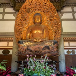 Statue of Buddha in the Byodo In buddhist temple on Oahu, Hawaii