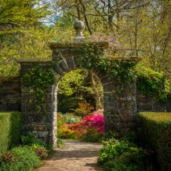Azaleas and Rhododendron trees surround gateway in spring