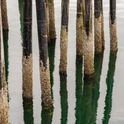 Old wooden pier structure in bay at Icy Strait Point in Alaska