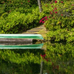 Green canoe on dock reflecting into calm lake or pond in garden