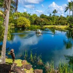 Gorgeous lagoon and lake in the Na Aina Kai sculpture garden