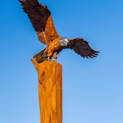 Eagle Landmark sculpture in Riverside Park La Crosse Wisconsin