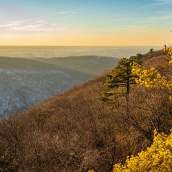 Cheat River Canyon at Coopers Rock on winter afternoon