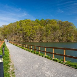 Pathway to spring leaves in Cheat Lake Morgantown WV