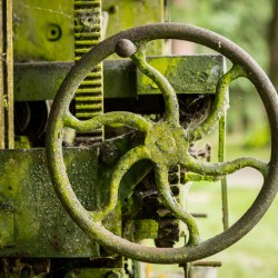 Moss covered farm machinery with handle