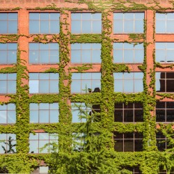Modern Chicago office covered with plants