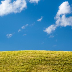 Green grassy lawn with blue sky and clouds