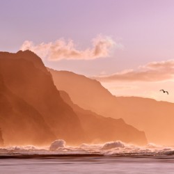 Kauai sunset with bird 