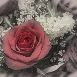 Color charcoal drawing of red rose bouquet