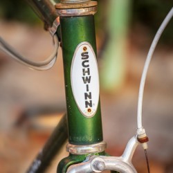 Memories of youth with Schwinn bike frame