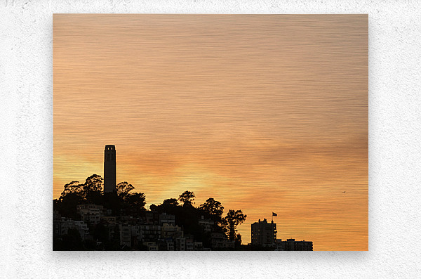 Coit tower at sunset in San Francisco  Metal print