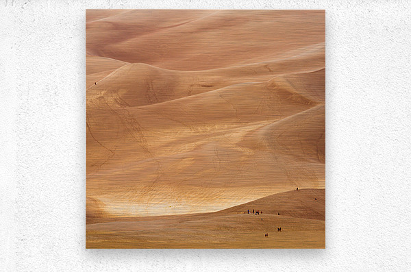 People on Great Sand Dunes NP   Metal print