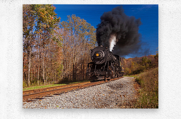 WMRR Steam train powers along railway  Metal print