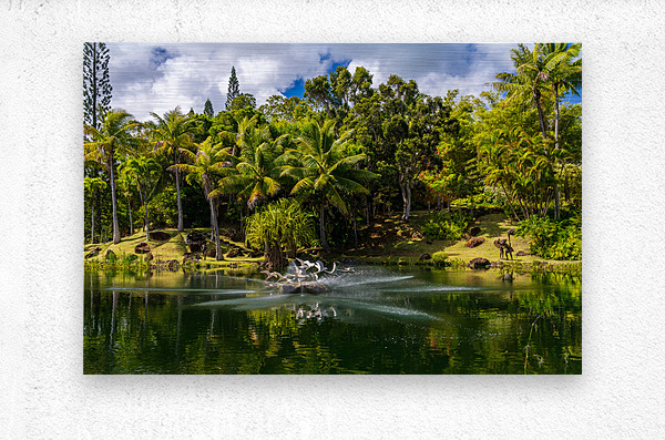 Gorgeous lagoon and lake in the Na Aina Kai sculpture garden  Metal print