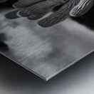 Crested Saguaro in National Park West in monochrome Metal print