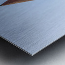 Orton Hall on the Oval at Ohio State University in Columbus Impression metal