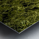 Holiday lights spectacular in trees of Johnson City Texas Metal print