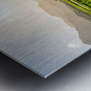 Verdant taro fields thrive under the Hawaiian sun near Hanalei B Metal print