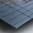 Intricate reflections of the Texas state capitol building on a s Metal print