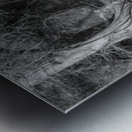 Large cypress trees in Cypress Bend Park alongside Guadalupe Riv Metal print