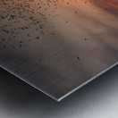 Bats Flying Overhead - Crowd on Congress Avenue bridge Metal print