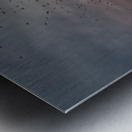 Bat watchers crowd on Congress Avenue bridge as bats fly  Metal print