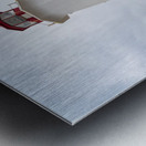 Famous Peggys Cove lightouse near Halifax in Nova Scotia Canada Metal print