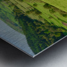 Pair of old hiking boots turned into plant pots with hill walkin Metal print