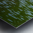 Rear view of the body of a swan reaching into the water of Elles Impression metal