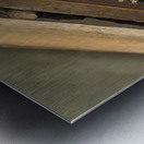 Head of a jackdaw poking out from nest in the rafters of an old  Metal print